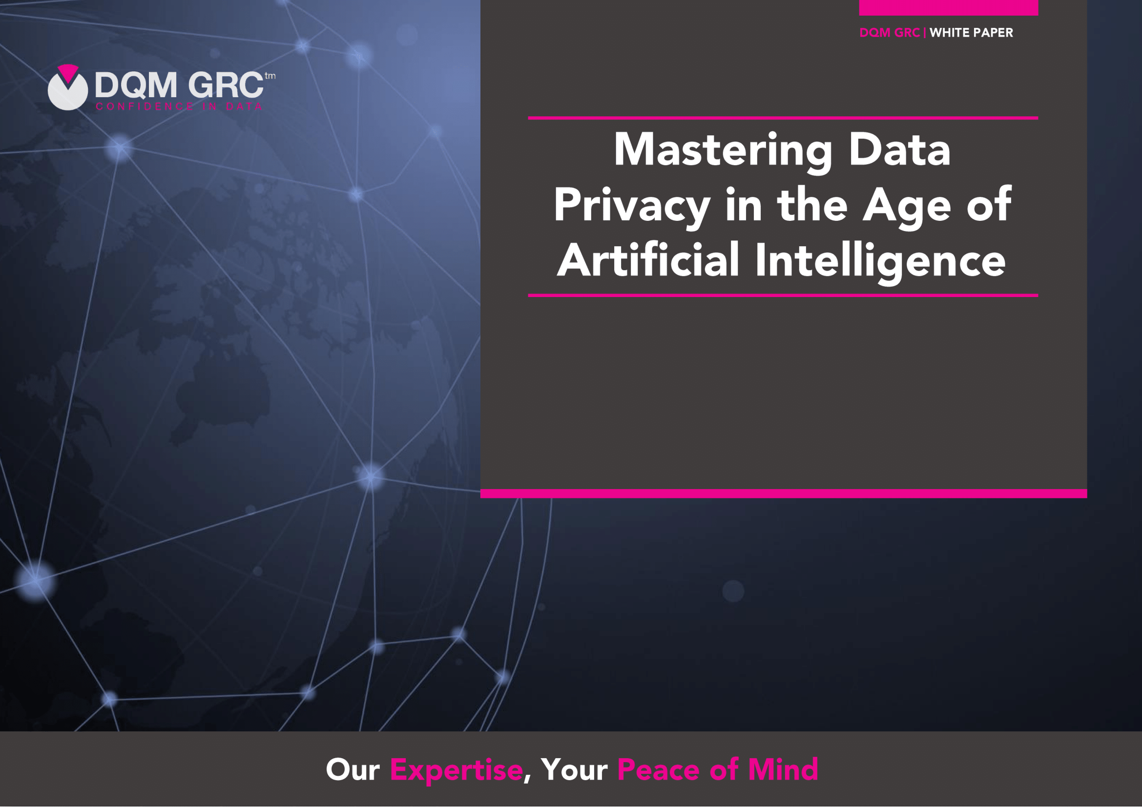 Free white paper | Mastering Data Privacy in the Age of Artificial Intelligence
